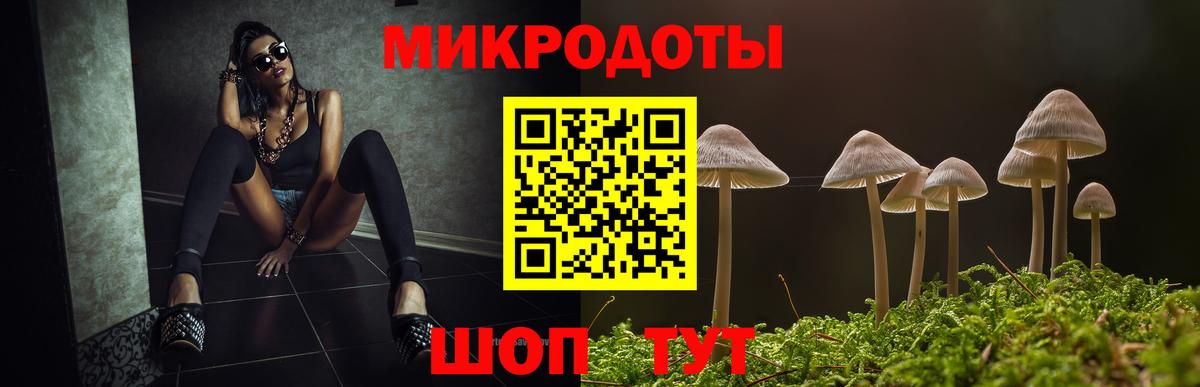 Каменка  Псилоцибиновые грибы Psilocybe  где купить наркоту  Вход с VPN 